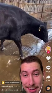 1.7M views · 11K reactions | I jinxed it #jinxed #youtubered #horror #peytonlist #barnesandnoble #nickelodeon #kirbybuckets #icarly #disneychannel #bunkd #vesuvianmedia #teen #reviews #isan #thethinning #dystopian #pawneerangers #marvinmarvin #jessie #disneyxd #cobrakai #yabooks #vesuvianbooks #scifi #postapocalyptic #horrornerd #theswap #bookstagram #parksandrecreation #kirbybucketswarped | Itsmenicksmithy | Facebook