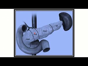 MRCS question solve (CRACK MRCS) Relation of uncinate process of pancreas