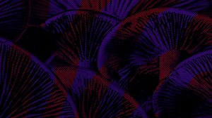 🎃MINISTRY, GARY NUMAN, FRONT LINE ASSEMBLY! 2024 Tour across the US and Canada! 🇺🇸🇨🇦 02/27 San Francisco, CA The Warfield 02/29 Eugene, OR McDonald Theatre 03/01 Portland, OR Roseland Theater 03/02 Seattle, WA Showbox Sodo 03/03 Vancouver, BC Commodore Ballroom 03/05 Calgary, AB Palace Theatre 03/06 Edmonton, AB Midway Music Hall 03/08 Winnipeg, MB Burton Cummings Theatre 03/09 Minneapolis, MN the Fillmore 03/10 Madison, WI The Sylvee 03/12 Columbus, OH Kemba Live 03/13 Detroit, MI Royal Oa