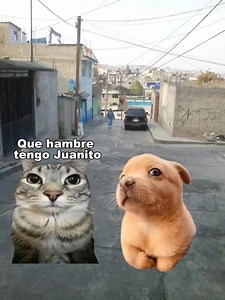 La boda: chicos que se casaron vendiendo humitas