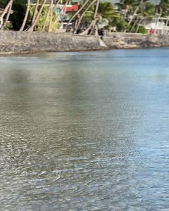 Maui Guessing Game: what beach is this? | Ali'i Resorts - Maui