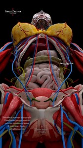 2.9M views · 21K reactions | Muscles, Nipples & Nerves — Welcome to...