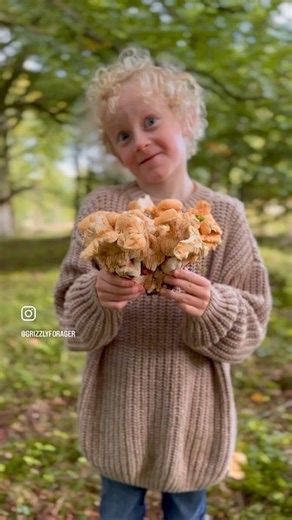 21K views · 1.7K reactions | We're on a Hedgehog Hunt!璉 #mushroomsforaging #mushroomhunting #foraging #foragingforfood #foraginguk #hedgehogmushroom | The Grizzly Forager | Facebook