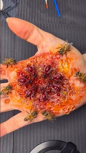 🍯🐝Realistic Bee Hive SFX Makeup Tutorial😱 #sfx_makeup #makeup #makeupartist #sfxstore