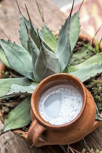 Pulque - Alchetron, The Free Social Encyclopedia
