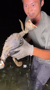 476K views · 7.1K reactions | Khám Phá và Sinh Tồn Trong Thế Giới Hoang Dã Của Đảo Hoang Châu Phi - P10 #survival #adventure #explore #challenge #Reels #Trending #Viral #Explore #Travel #survivallife #sinhton #hoangda #daohoang #dulich #khampha #ThànhCa #ĐầuTo #KhámPhá #SinhTồn | Sinh Tồn Hoang Dã | Facebook