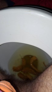 Verbal poop on my grandpa's throne