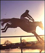 Breeding National Hunt horses - Horse & Hound