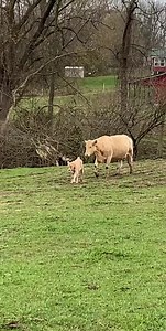 1.1K views | My son turned “18” over the weekend! Happy Birthday Johnny! ❤️ #johnnyegenolf5 #2020 #classof2021 #lovemom #fyp #countryboy | Haydn House | Facebook