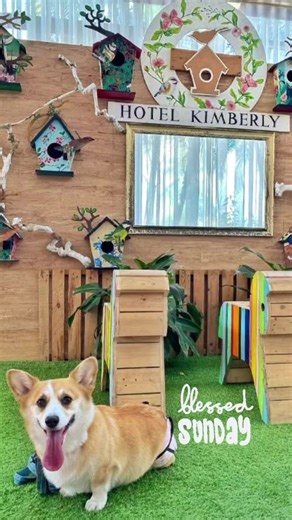 8.5K views | Hotel Kimberly Tagaytay on Reels | Facebook