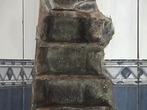 Lili And Cary - Two Playful Girls