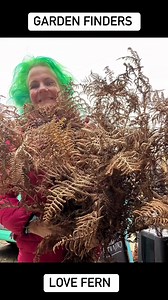 Passionate Flowers on Reels