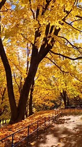 195 reactions · 18 shares | Autumn in Tartu is something different!  :Visit Tartu Instagram | Visit Estonia | Facebook