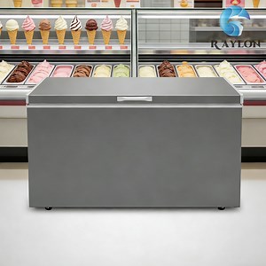 [Hot Item] Commercial Chest Freezer for Food Export Storage