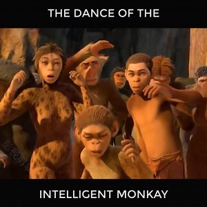 the dance of the intelligent monkay | Entertainment 24h