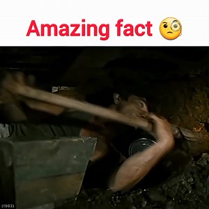 Amazing facts!🧐 Beast fact #factsdaily #facts #FactCheck follow me guys. | Beast fact