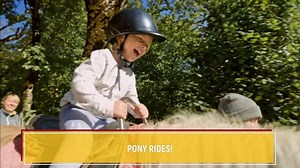 Market Rasen Racecourse on Reels