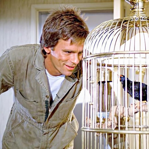 MacGyver Season 1 (1985) | This man is highly skilled in martial arts🧠⚡🛠️