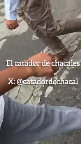 RT @catadordechacal: CHACAL HETERO CON NOVIA “SPIDER MAN” VÍDEO COMPLETO EN MI GRUPO PREMIUM. ⬇️⬇️⬇️⬇️https://t.co/w0K57NS8jz https:/…