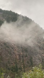 Revelstoke - nature therapy in the mountains! Destination British Columbia | Pacificnorthwestkate