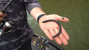 15K views · 365 reactions | Turn any plastic swimbait into a line-through bait the same way Jesse Wiggins Fishing does. He shows how to do it and introduces an unbeatable tandem in this Major League Lesson. Mercury Marine | Major League Fishing | Facebook