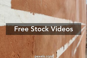 Indian Palace Videos, Download The BEST Free 4k Stock Video Footage & Indian Palace HD Video Clips