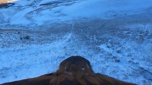 Watch: Kazakh eagle hunters keep ancient tradition alive