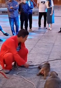 happy ending | Amazing Malaysia | Facebook