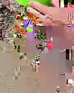 Watering system makes potato gardening productive and easy. | Tips & Tricks