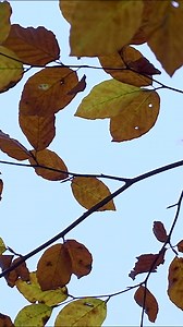 Magnus Bruun har stor succes som skuespiller - særligt i udlandet - og som stemme bag hovedkarakteren i det populære computerspil Assasins Creed Valhalla. Men selvom han arbejder i hele verden, så er det noget særligt at komme hjem til Jystrup. | TV2 ØST