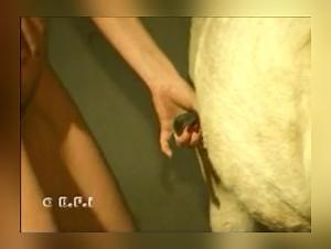 Knotty Love Lotion - Extreme Dog Fuck Scenes