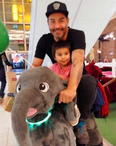 [Hot Item] Hansel Animal Riders Coin Operated Motorized Animals for Amusement Park