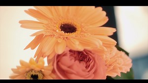 Behind the Scenes at a sweet little wedding expo last month! | Zandolee Media