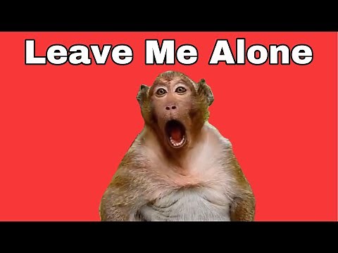 Monkey Sweet Pea aggravated at VO’s