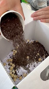 1.3M views · 16K reactions | Delicious Ice Cream with Toppings ‍ | Foody Fetish | Facebook