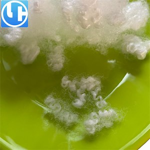 [Hot Item] 20d 64mm 100% Virgin Hollow Conjugated Polyester Staple Fiber Bedding Raw Materials