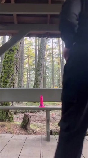 RT @youraddictionp: Trying To Not Get Caught Riding In The Park | #public #risky #outdoors #solo #dildo #masturbating #amateur #homemade #l…