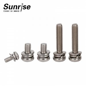 [Hot Item] Chinese Factory Phillips Round Plate Pan Head Double Washer Combination Screw Flat Washer & Spring Washer Combination Screw