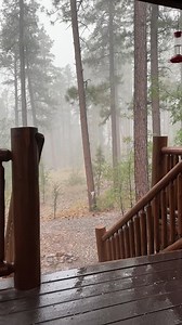 112K views · 3.4K reactions | Listen to that rain and thunder! ⛈Thanks to Rick Bosshardt for sharing footage of a storm that passed through Show Low yesterday afternoon. We're tracking some pop-up showers in parts of the state and even some areas of the Valley this morning, too: https://www.abc15.com/weather/radar | ABC15 Arizona | Facebook