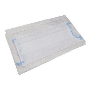[Hot Item] ESD Cleanroom White 3 Ply Face Mask with PU Earloop (WHP-CR3-W)
