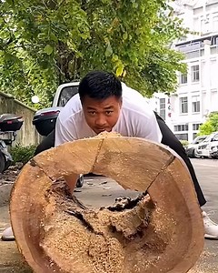561K views · 10K reactions | This guy creates some incredible wood sculptures!  | Pretty Hairstyles | Facebook