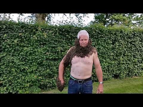 Imker hangt bijenbaard van 30.000 bijen aan zijn kin