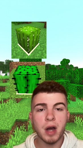 Galaxy Goats on TikTok