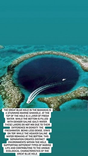 The Great Blue Hole in the Bahamas is a stunning marine sinkhole. At the top of the hole is a layer of fresh water, while the bottom is filled with denser saline (salt) water. These layers do not mix due to their difference in density. The freshwater, being less dense, stays on top, while the heavier saline water remains at the bottom. This separation creates distinct environments within the hole, supporting different types of marine life and contributing to the unique ecological characteristics