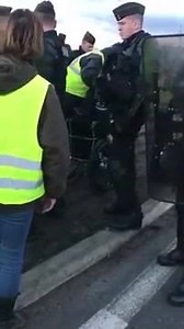 French police harass a protester in a wheel chair. Seriously bad optics there Macron. - Yellow Vest Revolt | Shattered Citadel