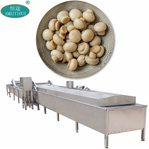 [Hot Item] Vegetable and Fruit Blanching Machine Mushroom Blanching Machine