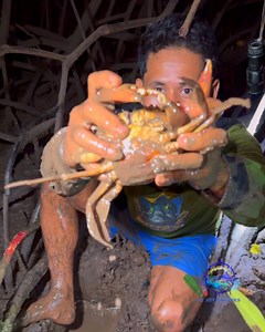 Pangangapa ng ALIMANGO sa bakawan | catch & cook || Palawan 🇵🇭 | PH Adventures