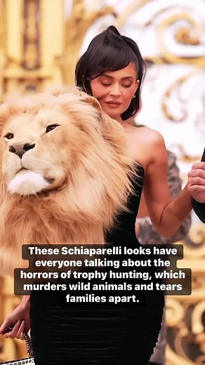 657K views · 2.5K reactions |  SCHIAPARELLI, Kylie Jenner, Naomi Campbell, & Irina Shayk must extend this creativity to be 100% vegan & exclude sheep shorn bloody for wool and silkworms boiled alive for silk!  | PETA (People for the Ethical Treatment of Animals) | Facebook