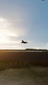 14K views · 268 reactions | Tandem Raptor Takeoff  F-22 Raptor #dcsworld | Full Burner Sims | Facebook