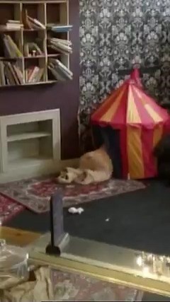 Amy Child terrified by Teddy Bear 🧸 | Ben Hanlin